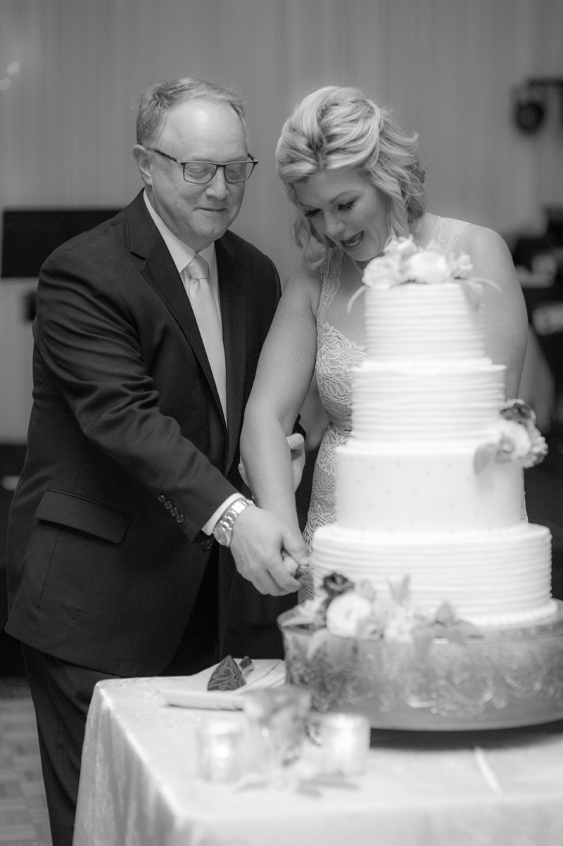 Bride and Groom cutting the cake